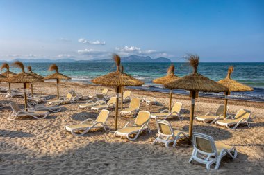 Picafort Sahili saman şemsiyeler ve güneş şezlonglarıyla turkuaz denize karşı, insansız bir sabah geçirebilir. Can Picafort, Balear Adaları Mallorca İspanya. Seyahat acentası tatil kavramı.