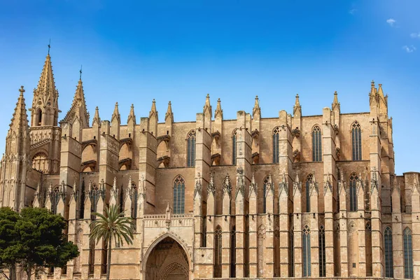 stock image Gothic medieval cathedral La Seu and Royal Palace of La Almudaina. Capital city Palma de Mallorca. Balearic Islands Spain. Travel agency vacation concept.