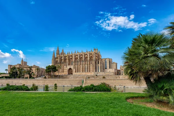 Gotycka Średniowieczna Katedra Seu Pałac Królewski Almudaina Stolica Palma Mallorca — Zdjęcie stockowe