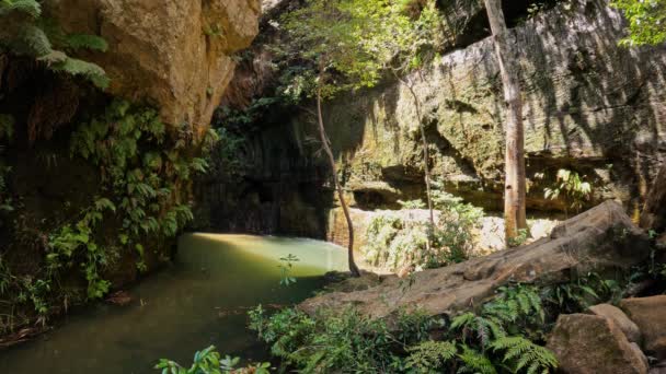 Lagoa Floresta Tropical Natureza Pura Desanexada Parque Nacional Isalo Bela — Vídeo de Stock