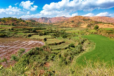 Central Madagascar landscape - Betafo, Vakinankaratra. Highland countryside landscape. Deforestation creates agricultural or pastoral land but can also result ecology problem with soil and water. clipart