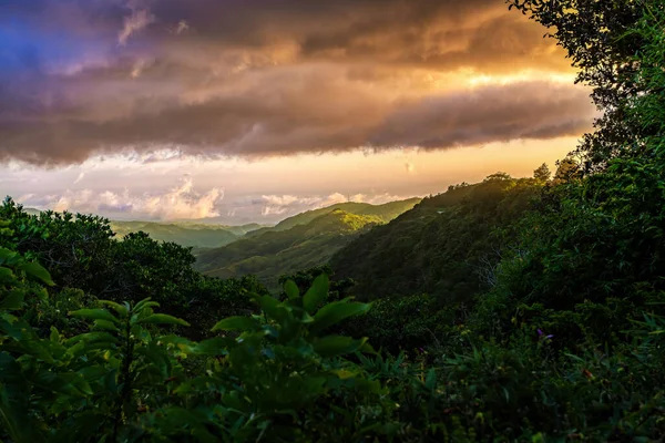 茂密的热带雨林景观 有落日和低云的山地雨林 传统的哥斯达黎加绿色景观 哥斯达黎加圣埃伦娜 图库图片