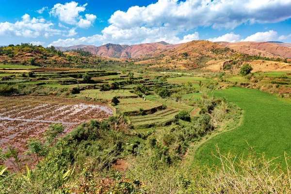 Central Madagascar Landscape Betafo Vakinankaratra Highland Countryside Landscape Deforestation Creates Stock Kép