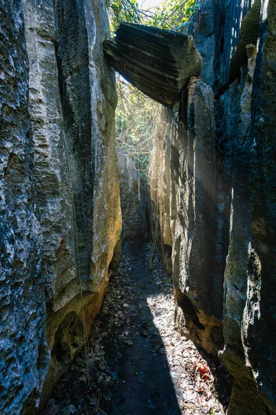 Sentier Étroit Entre Les Rochers Petit Tsingy Bemaraha Réserve Naturelle — Photo