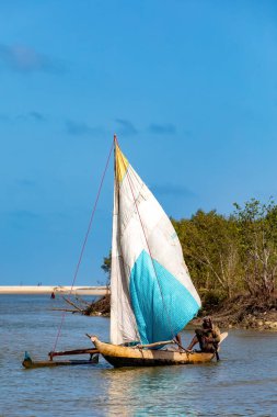 Morondava, Madagaskar - 3 Kasım 2022: Bir balıkçı Morondava 'da bir yelkenliyle denizden nehre geri döndü