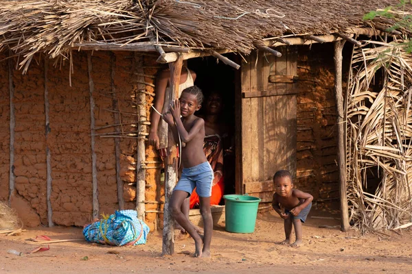 マダガスカル ナバロ 2222年11月4日 ネイティブキバロ村の興味深い子供たち キバロはマダガスカルのアナラマンガ地域に位置するエコツーリズムを持つ小さな村です — ストック写真