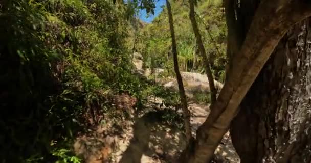 Национальный Парк Исало Регионе Ихоромбе Дикий Ландшафт Водной Эрозией Скалистые — стоковое видео