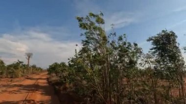Madagaskar 'da gün batımında Kirindy' den Kivalo 'ya giden Baobab ağaçlarının yanından geçen manzaralı bir araba.