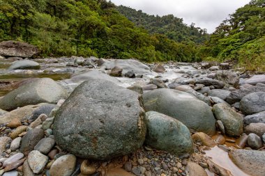 The Orosi River, also called Rio Grande de Orosi, is a river in Costa Rica near the Cordillera de Talamanca. Tapanti - Cerro de la Muerte Massif National Park. Costa Rica wilderness landscape clipart