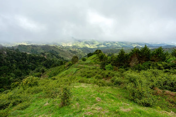 Paisaje Selvático Bosque Lluvioso Parque Nacional Tapanti Clima Nublado Brumoso — Foto de Stock