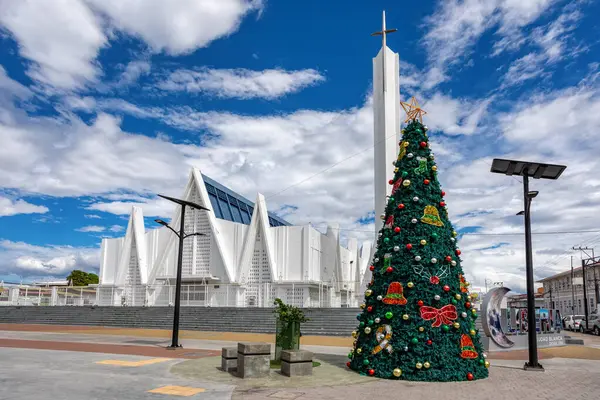 Рождественская Елка Перед Иглесия Инмакулада Консепсьон Мария Центральной Площади Либерии — стоковое фото