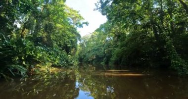 Bahar doğal bokeh pürüzsüz arkaplan ya da güneş ışığıyla zemin