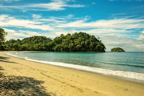 Playa Manuel Antonio Nationaal Park Costa Rica Fauna Stille Oceaan Rechtenvrije Stockafbeeldingen