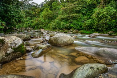 The Orosi River, also called Rio Grande de Orosi, is a river in Costa Rica near the Cordillera de Talamanca. Tapanti - Cerro de la Muerte Massif National Park. Costa Rica wilderness landscape clipart