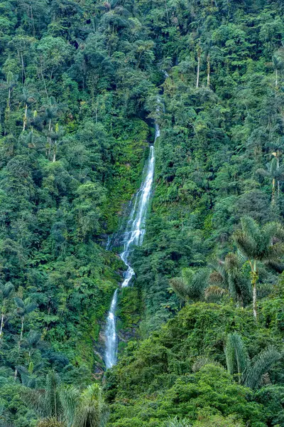 Waterfall in Ciudad Perdida, hidden ancient ruins of Tayrona civilization in the heart of the Colombian jungle. Lost city of Teyuna. Santa Marta, Sierra Nevada mountains, Colombia wilderness