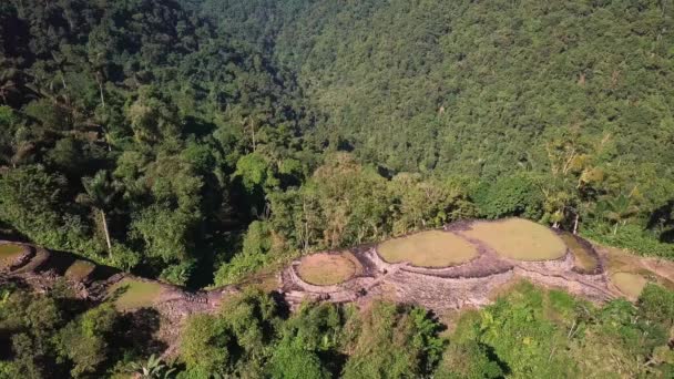 Rejtett Ősi Romjai Tayrona Civilizáció Ciudad Perdida Szívében Kolumbiai Dzsungelben — Stock videók