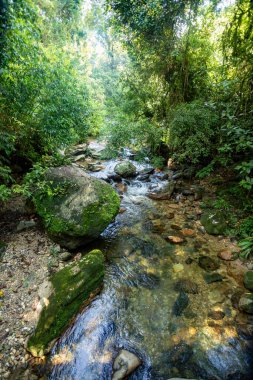 Ormanda küçük bir nehir. Kolombiya ormanlarındaki Ciudad Perdida uygarlığının gizli antik kalıntılarına zorlu bir yolculuk. Santa Marta, Sierra Nevada dağları, Kolombiya vahşi doğası.