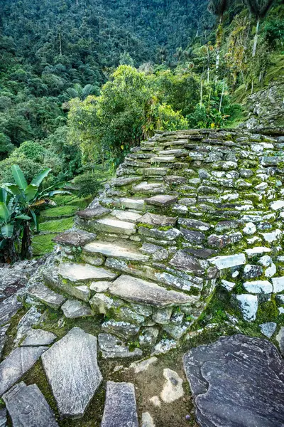 Stone stairs in hidden ancient ruins of Tayrona civilization Ciudad Perdida in the heart of the Colombian jungle Lost city of Teyuna. Santa Marta, Sierra Nevada mountains, Colombia wilderness