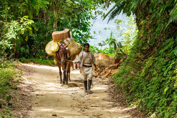 Tayrona Magdalena Colombia September 2023 Inheemse Koguis Koguis Man Vervoer — Stockfoto