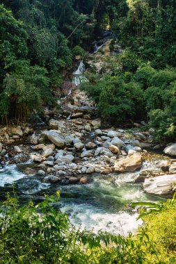 Ormandaki küçük şelale nehri. Kolombiya ormanlarındaki Ciudad Perdida uygarlığının gizli antik kalıntılarına zorlu bir yolculuk. Santa Marta, Sierra Nevada dağları, Kolombiya vahşi doğası.