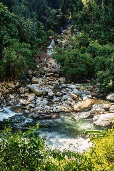 Ormandaki küçük şelale nehri. Kolombiya ormanlarındaki Ciudad Perdida uygarlığının gizli antik kalıntılarına zorlu bir yolculuk. Santa Marta, Sierra Nevada dağları, Kolombiya vahşi doğası.