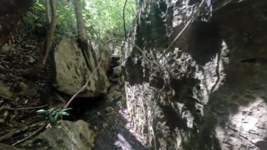 Hiking in touristic trek Petit Tsingy de Bemaraha, Strict Nature Reserve located near the western coast of Madagascar. UNESCO World Heritage with unique geography. Madagascar wilderness landscape