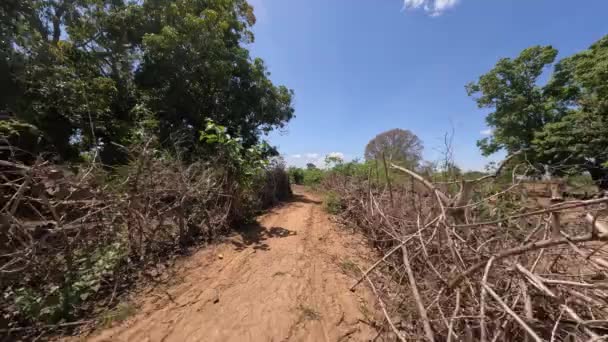 Procházky Břehu Řeky Belo Sur Tsiribihina Poblíž Silnice Jednoduchý Plot — Stock video