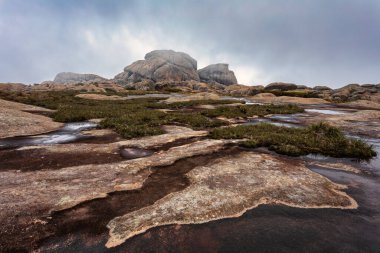 Andringitra national park, Haute Matsiatra region, Madagascar, beautiful mountain landscape, trail to high peak in mist and fog. Hiking in Andringitra mountains. Madagascar wilderness landscape.