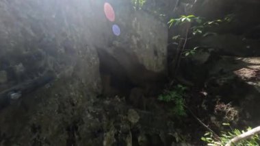 Hiking in touristic trek Petit Tsingy de Bemaraha, Strict Nature Reserve located near the western coast of Madagascar. UNESCO World Heritage with unique geography. Madagascar wilderness landscape
