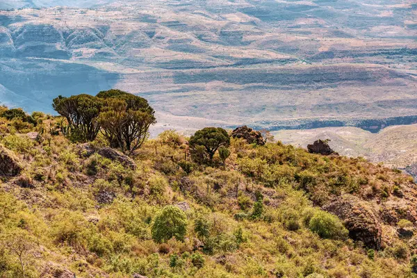 Güzel dağlık arazi, Somali Bölgesi. Etiyopya vahşi doğası, Afrika.