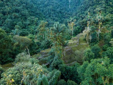 Tayrona medeniyetinin gizli antik kalıntıları Ciudad Perdida Kolombiya ormanının kalbinde. Yukarıdan hava görüntüsü. Kayıp şehir Teyuna. Santa Marta, Sierra Nevada dağları, Kolombiya vahşi doğası