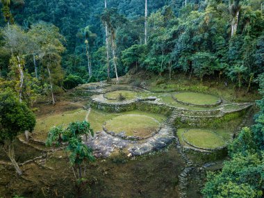 Tayrona medeniyetinin gizli antik kalıntıları Ciudad Perdida Kolombiya ormanının kalbinde. Yukarıdan hava görüntüsü. Kayıp şehir Teyuna. Santa Marta, Sierra Nevada dağları, Kolombiya vahşi doğası