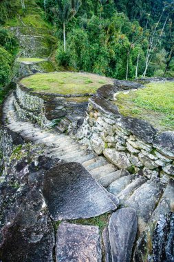 Tayrona medeniyetinin eski kalıntıları Ciudad Perdida Kolombiya 'nın kayıp şehri Teyuna' nın göbeğinde. Santa Marta, Sierra Nevada dağları, Kolombiya vahşi doğası