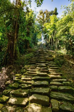 Queens main stone stairs in hidden ancient ruins of Tayrona civilization Ciudad Perdida in heart of the Colombian jungle Lost city of Teyuna. Santa Marta, Sierra Nevada mountains, Colombia wilderness clipart
