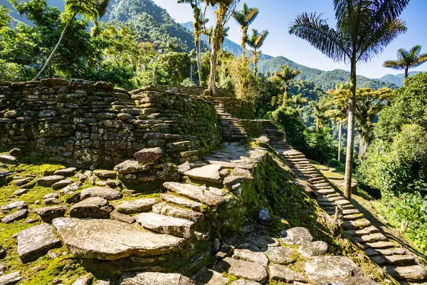 Kolombiya 'nın kayıp şehri Teyuna' nın kalbinde, Tayrona medeniyetinin gizli antik kalıntıları Ciudad Perdida 'nın taş merdivenleri. Santa Marta, Sierra Nevada dağları, Kolombiya vahşi doğası