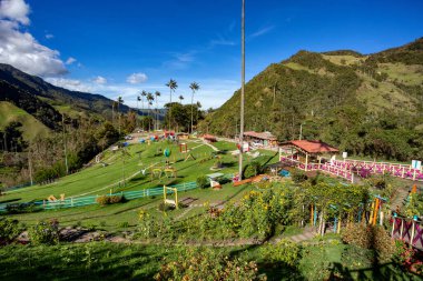 Valle del Cocora Vadisi 'ndeki eğlence merkezinde uzun, balmumu palmiye ağaçları var. Salento, Quindio Bölümü. Kolombiya 'ya seyahat.