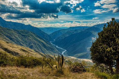 Chicamocha, dünyanın en büyük ikinci kanyonu, Chicamocha Nehri tarafından oyulmuş dik kenarlı kanyon. Santander Bölümü. Kolombiya vahşi doğası. Kanyon, Kolombiya 'nın hazinelerinden biridir.