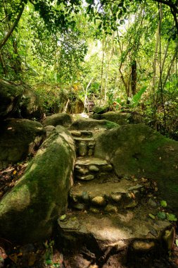 Yağmur ormanlarındaki en güzel Karayip plajına giden patika, Tayrona Ulusal Parkı 'ndaki Playa Arenilla, Kolombiya manzarası