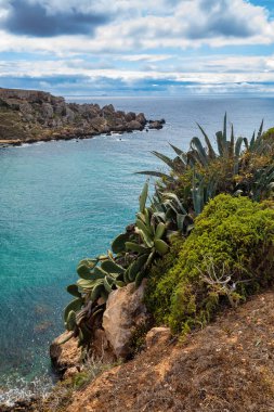Altın Körfez ve sahil üzerinde panoramik manzara (Ghajn Tuffieha) turkuaz, gök mavisi deniz, Malta seyahat hedefi.
