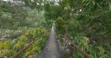 Vahşi nehir üzerindeki ahşap köprü yolu bitkiler, yaz gezisi keşfi konsepti, Tayrona, Kolombiya vahşi doğası..