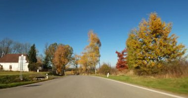 Sonbaharda araba gezintisi, arabadan POV manzarası, güneşli bir günde mavi gökyüzü olan kırsal alanda düşen renkli ağaçlar..
