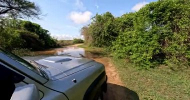 4x4 adventure drive in Madagascar. Road from Tsingy de Bemaraha to Morondava. Car partially under water. Wheel close up in muddy road. Off-road vehicle on road after rain in the countryside