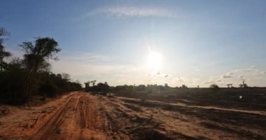 Madagaskar 'da gün batımında Kirindy' den Kivalo 'ya giden Baobab ağaçlarının yanından geçen manzaralı bir araba.