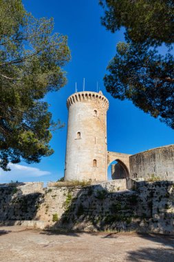 Bellver Şatosu (Katalanca: Castell de Bellver), İspanya 'nın Balearic Adaları' ndaki Mayorka Adası 'nda Palma' nın 3 km batısındaki Gotik bir kaledir..
