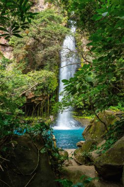 Catarata La Cangreja - Yeşil ağaçlar, bitki örtüsü, kayalar, yeşil ve berrak sularda yüzen yapraklar, Rincon de la Vieja Ulusal Parkı, Kosta Rika Yabanı