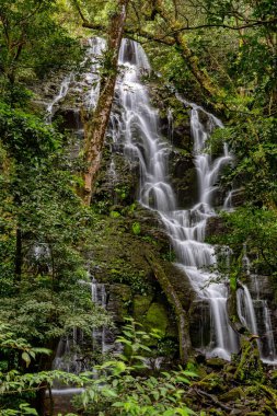 Hidden waterfall surrounded by green trees, vegetation, rocks, leaves floating on green and clear water, Rincon de la Vieja National Park, Costa Rica Wilderness clipart