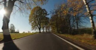 Sonbaharda araba gezintisi, arabadan POV manzarası, güneşli bir günde mavi gökyüzü olan kırsal alanda düşen renkli ağaçlar..