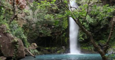 Catarata La Cangreja - Yeşil ağaçlar, bitki örtüsü, kayalar, yeşil ve berrak sularda yüzen yapraklar, Rincon de la Vieja Ulusal Parkı, Kosta Rika Yabanı