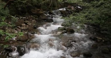 Küçük vahşi dağ nehri. Vahşi doğanın ve saf doğanın çarpıcı manzarası. Rincon de la Vieja, Kosta Rika.