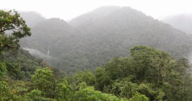 Jungle landscape in rainy day. Rain forest with waterfall in Tapanti national park, traditional misty cloudy weather. Green natural background. Costa Rica wilderness